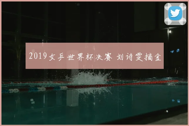 2019女乒世界杯决赛 刘诗雯摘金