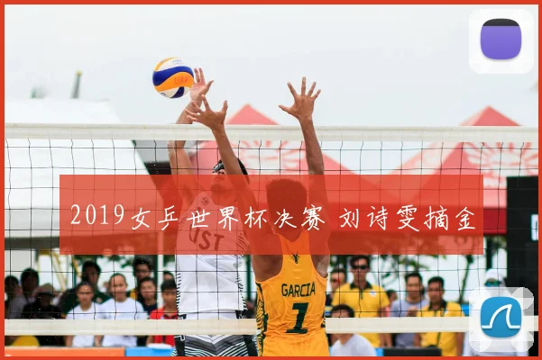 2019女乒世界杯决赛 刘诗雯摘金