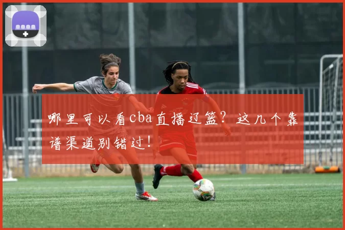 哪里可以看cba直播辽篮？这几个靠谱渠道别错过！